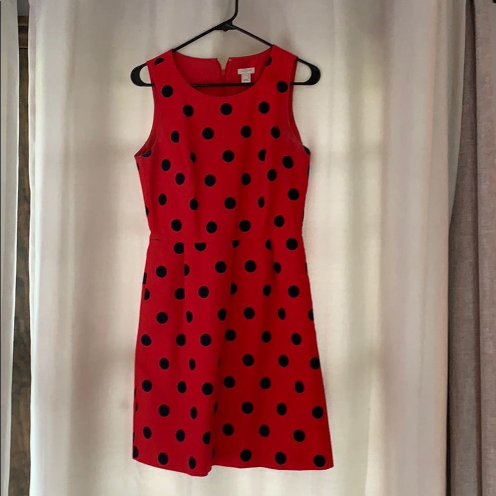 Red and blue polka dot J Crew Dress